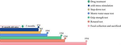 Effects of Qi-Fu-Yin on aging of APP/PS1 transgenic mice by regulating the intestinal microbiome